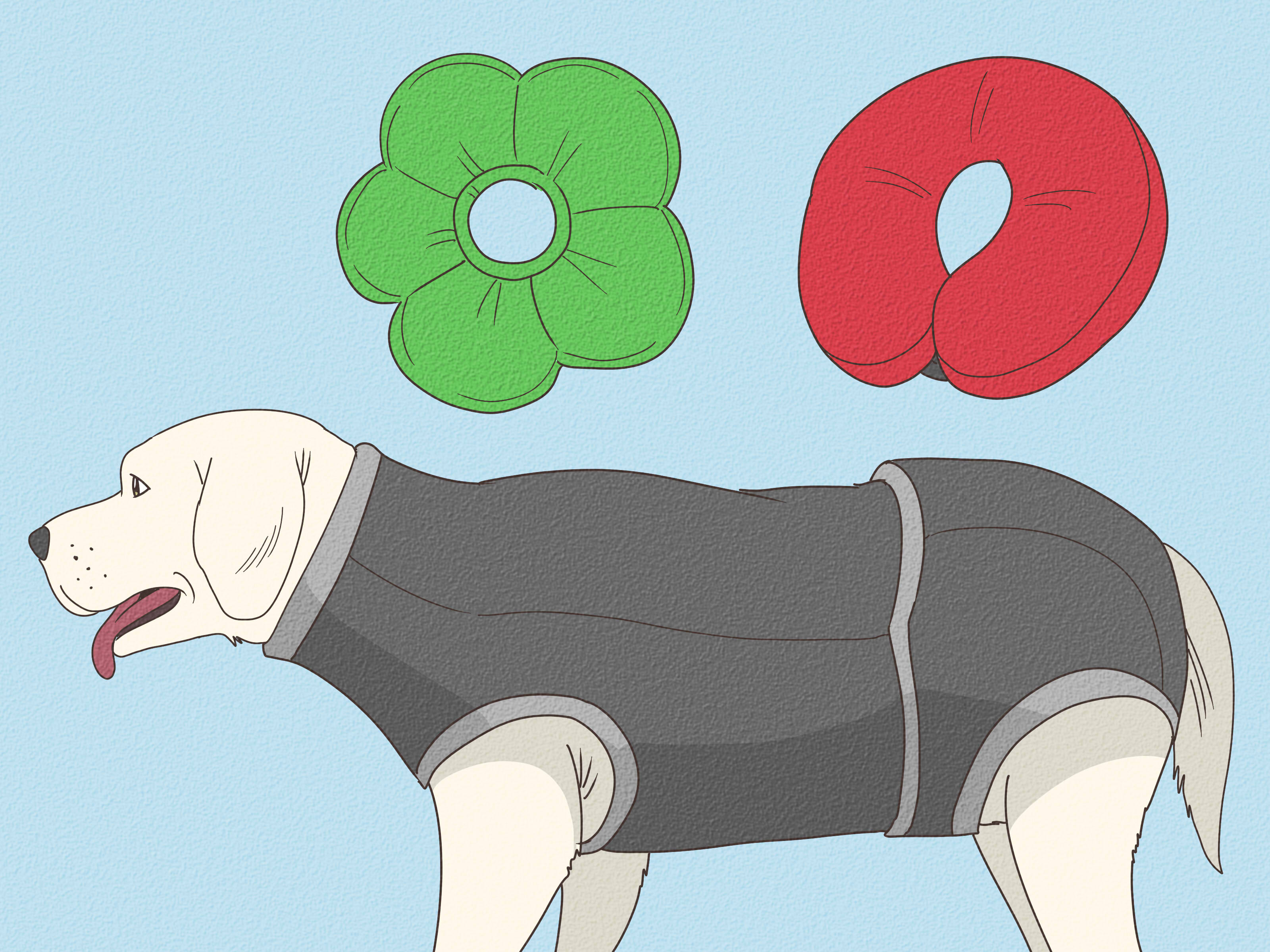 como fazer coleira de identificação caseira