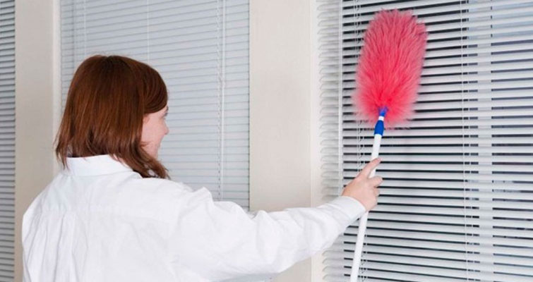 5 ideias de títulos:
1. Guia Completo: Como Limpar Persianas Rolo Sem Danificar
2. Adeus Poeira e Manchas: O Método Perfeito para Limpar sua Persiana Rolo
3. Limpeza Profunda vs. Rotineira: Qual a Melhor Forma de Cuidar da sua Persiana?
4. Erros Comuns ao Limpar Persianas Rolo (e Como Evitá-los)
5. Persianas Impecáveis: Dicas de Ouro para Manter seu Ambiente Limpo