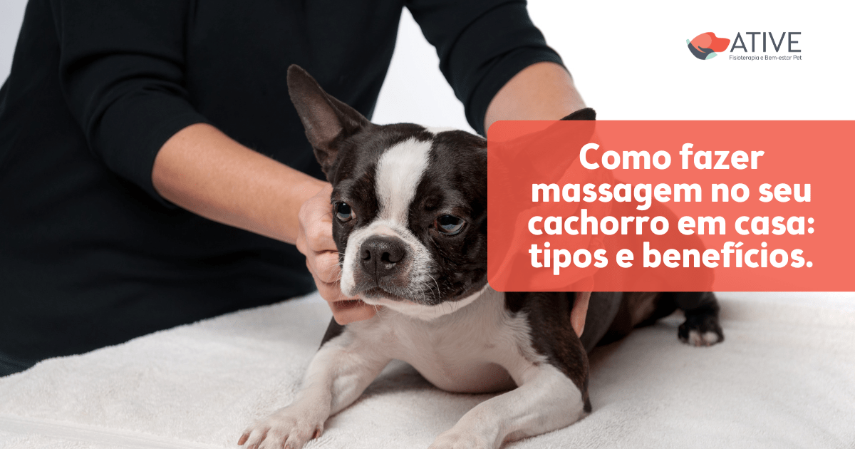 Sinais de Estresse em Cães: Como Identificar e Ajudar seu Pet