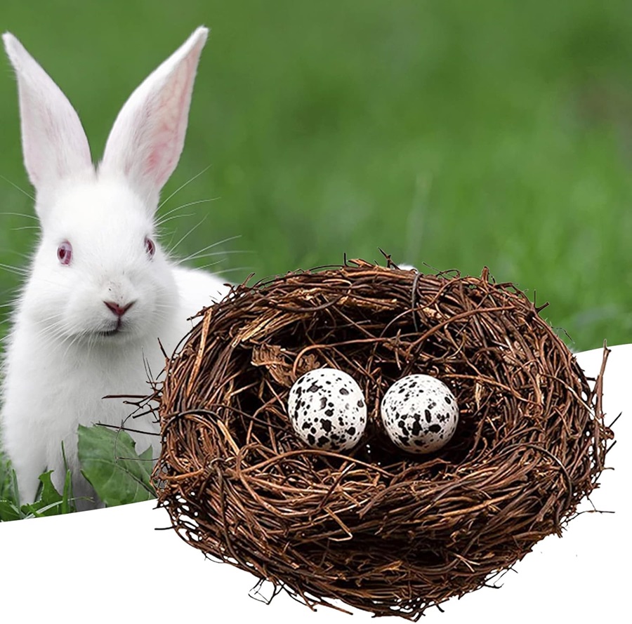 Guia Completo: Onde Comprar Palha e Fibra de Coco para seu Ninho de Páscoa