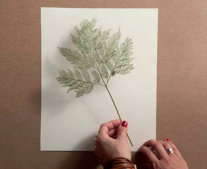 como fazer quadro com folhas secas