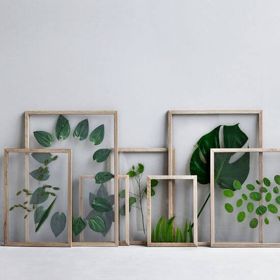 Como escolher a moldura perfeita para seu quadro de folhas secas