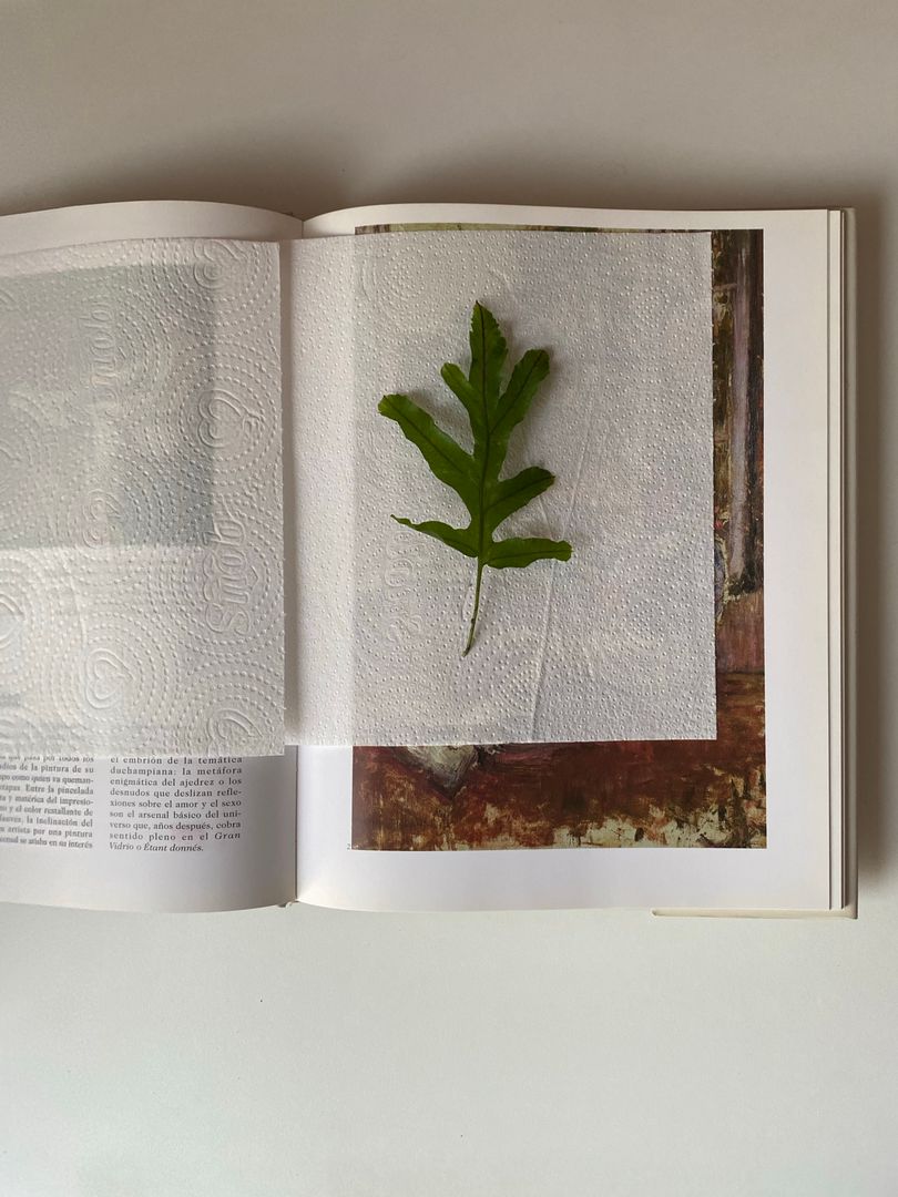 Quadros de folhas secas: inspirações de design e estilos