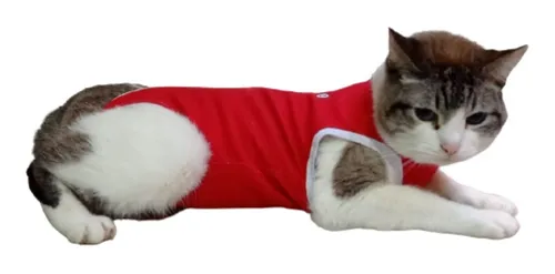 Materiais Alternativos para Roupas Cirúrgicas de Gatos: Opções Econômicas e Seguras