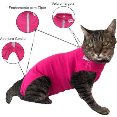 Cuidados Essenciais com Gatos no Pós-Castração: Um Guia Completo