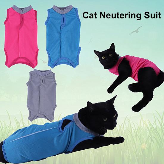 Como Identificar e Aliviar o Desconforto do Gato com a Roupa Cirúrgica
