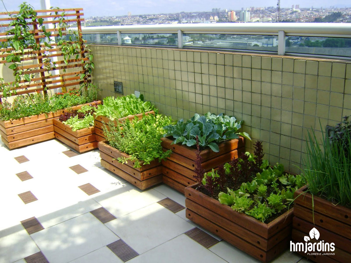 erros comuns ao montar horta de temperos na varanda