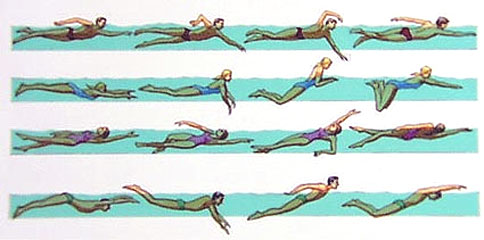 Entenda a Regra dos 15 Metros na Natação