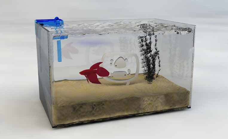 como montar aquário para peixe betta simples