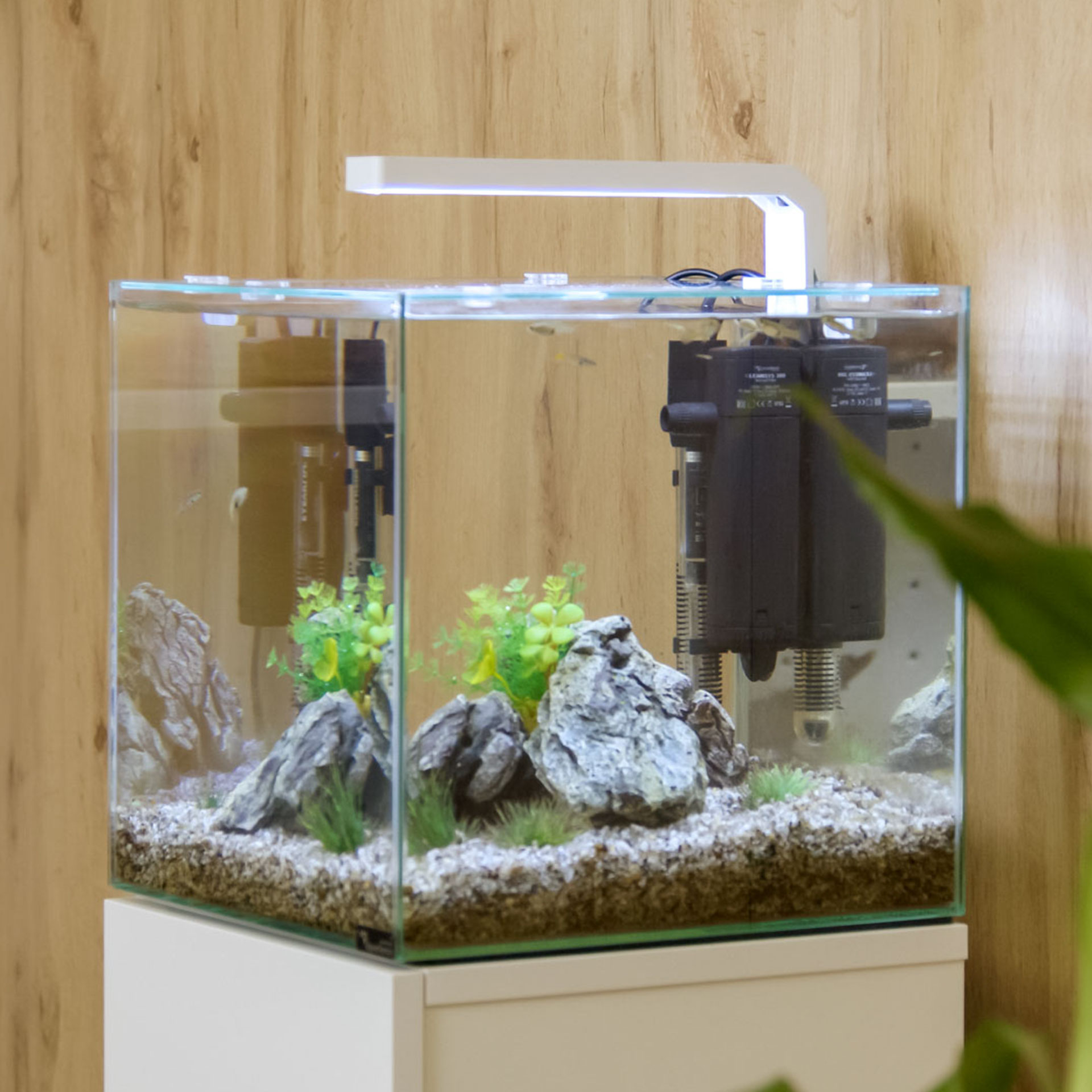 Temperatura e Tratamento