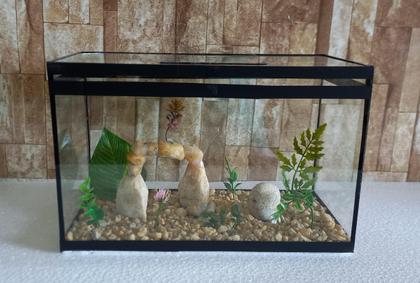 como montar aquário para peixe betta simples