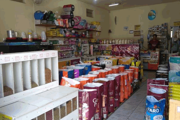 Equipamentos Essenciais para Montar uma Loja de Ração de Sucesso