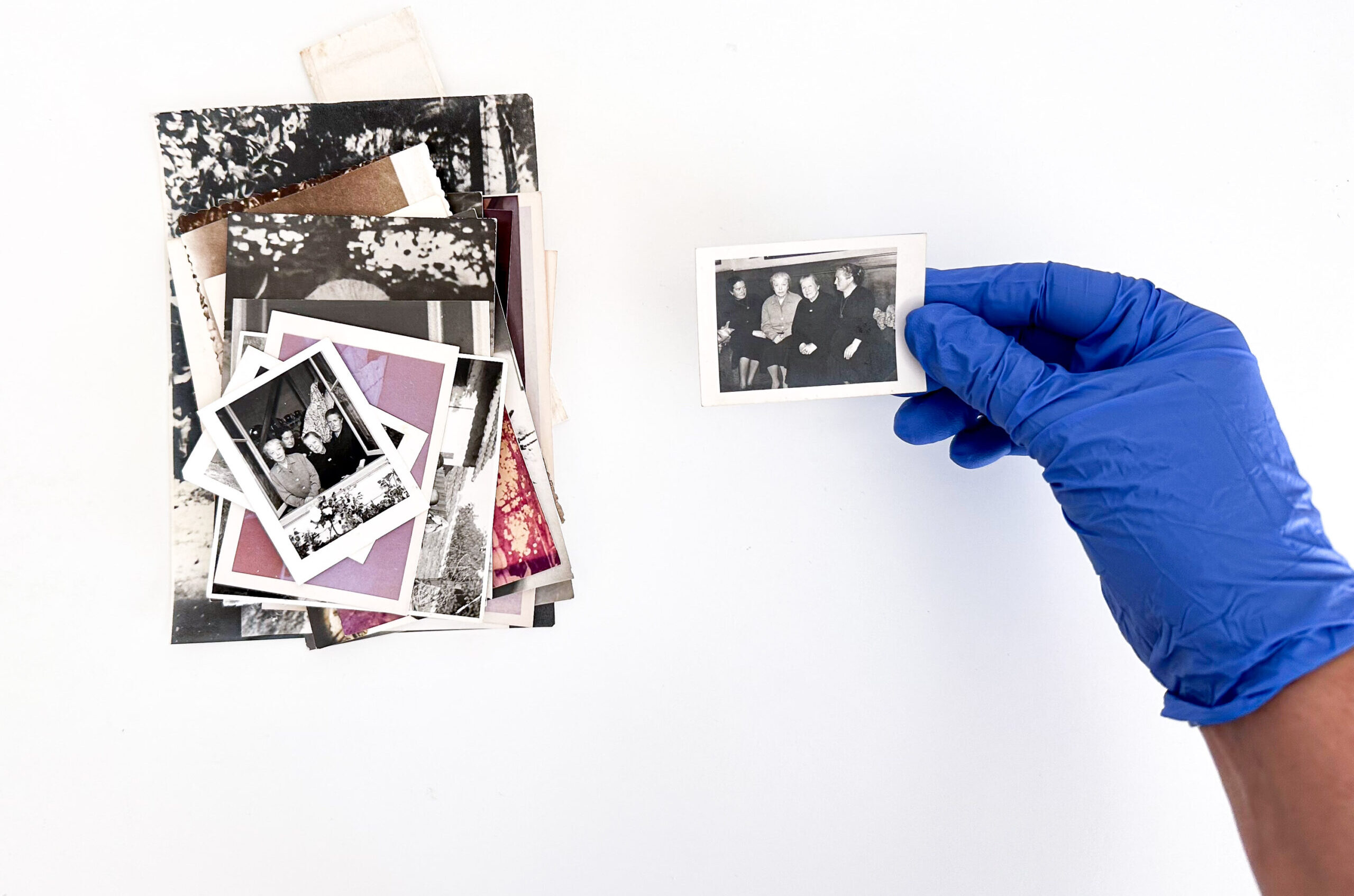 Lightroom vs. Google Fotos: Qual o Melhor para Gerenciar Suas Imagens?