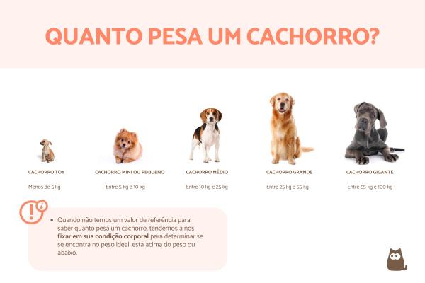 comparativo: patas vs. peso vs. altura para saber o porte do filhote