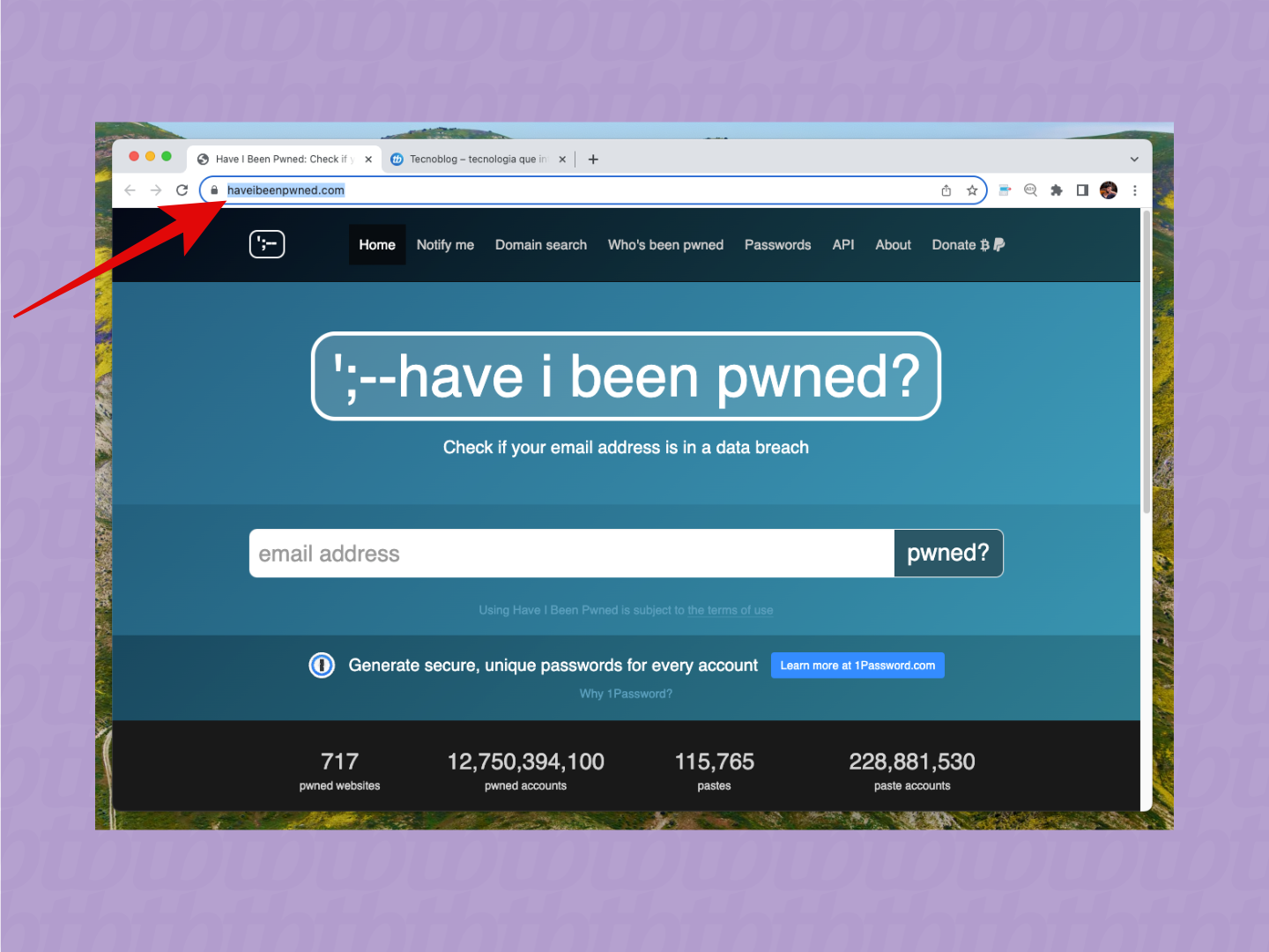 como saber se meu e-mail vazou na internet