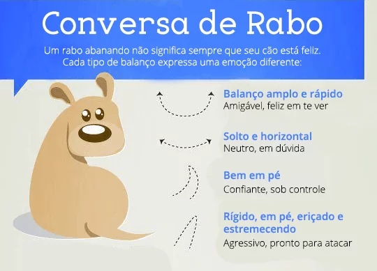 como saber se o cachorro gosta de mim