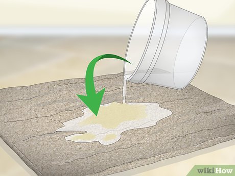 Meu Coelho Faz Xixi Vermelho: Quando se Preocupar e o Que Fazer