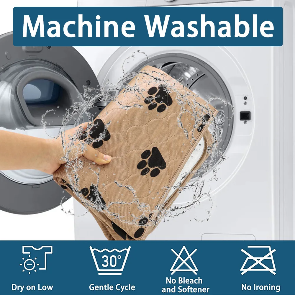 Guia Completo: Como Prevenir Manchas de Xixi de Coelho em Casa