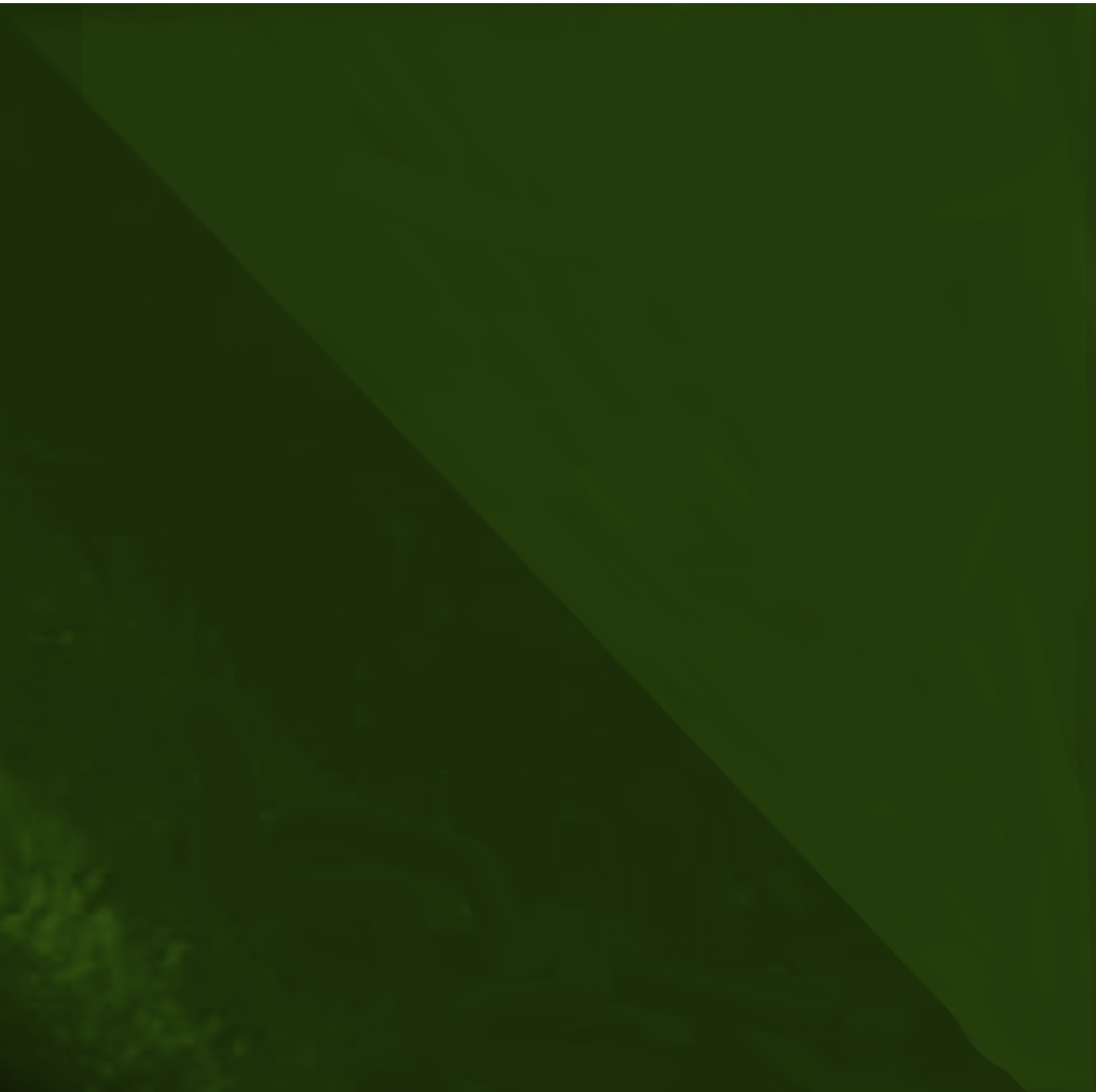 O Uso do Ouro na Heráldica Militar: Símbolo de Nobreza e Prestígio