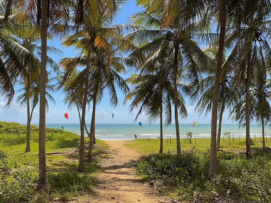 5 ideias de títulos:
1. Cris Dias: O Paraíso do Kitesurf em São Miguel do Gostoso
2. Estilo Nômade: Cris Dias Revela Seu Refúgio em RN
3. Elogios em Massa: Cris Dias Brilha em São Miguel do Gostoso
4. Por Dentro da Viagem: Cris Dias e Suas Aventuras de Kitesurf
5. São Miguel do Gostoso: O Destino Favorito de Cris Dias