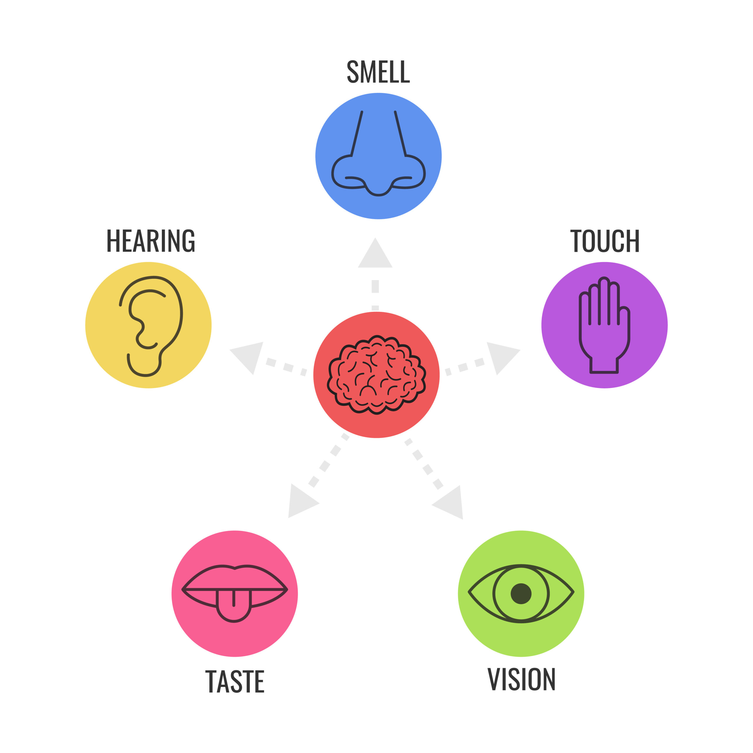 curiosidades sobre o branding sensorial