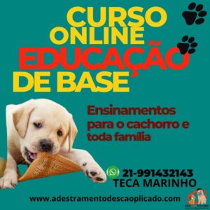 Adestramento de Cães de Guarda: O Que Você Precisa Saber