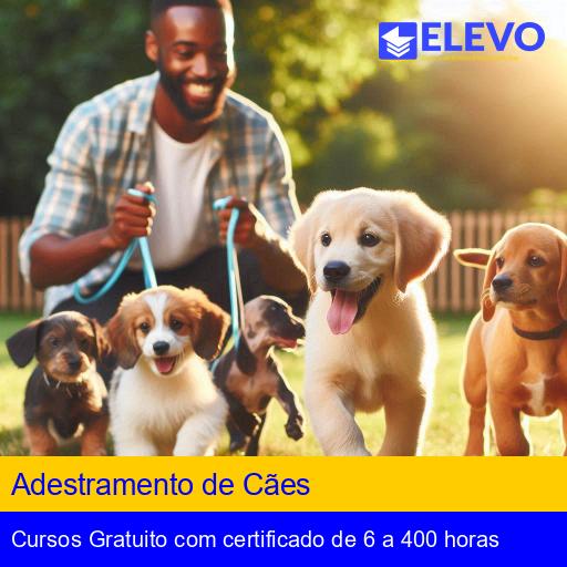 Adestrador Profissional: Carreira e Formação