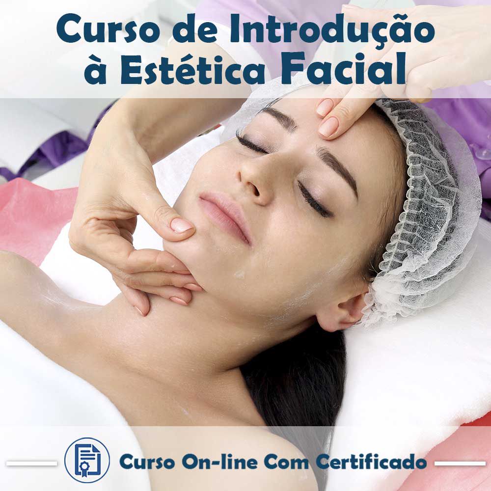 melhores cursos de estetica facial online para iniciantes