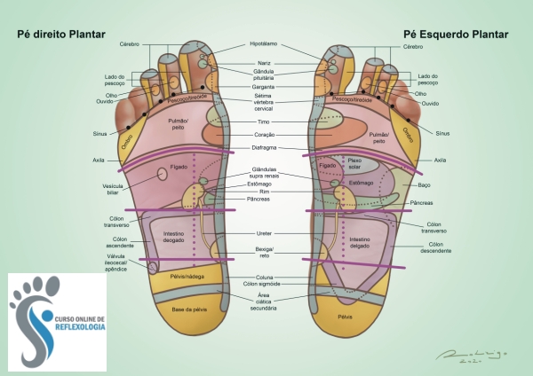 curso de reflexologia podal