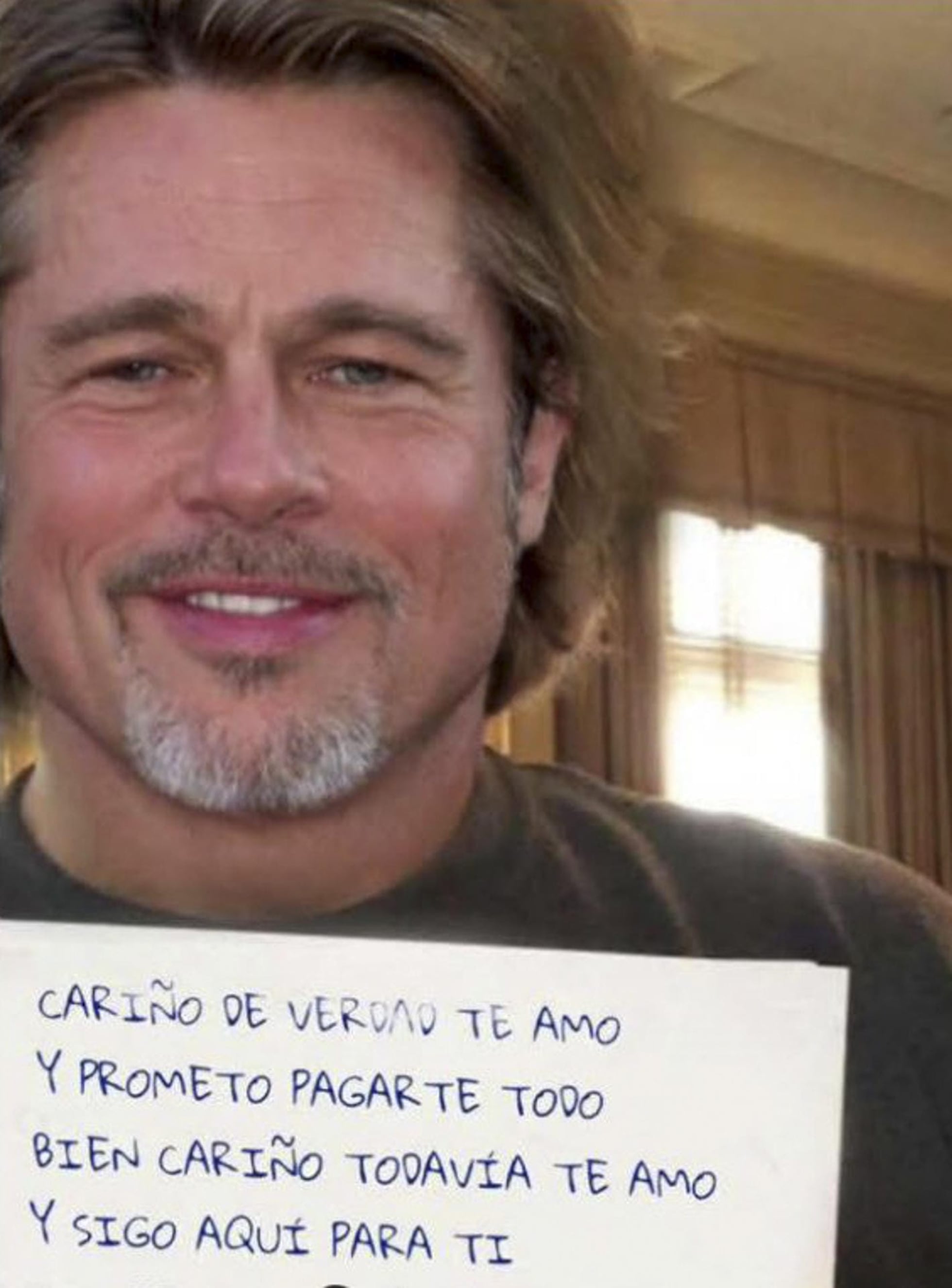 declarações reais brad pitt vs texto fake