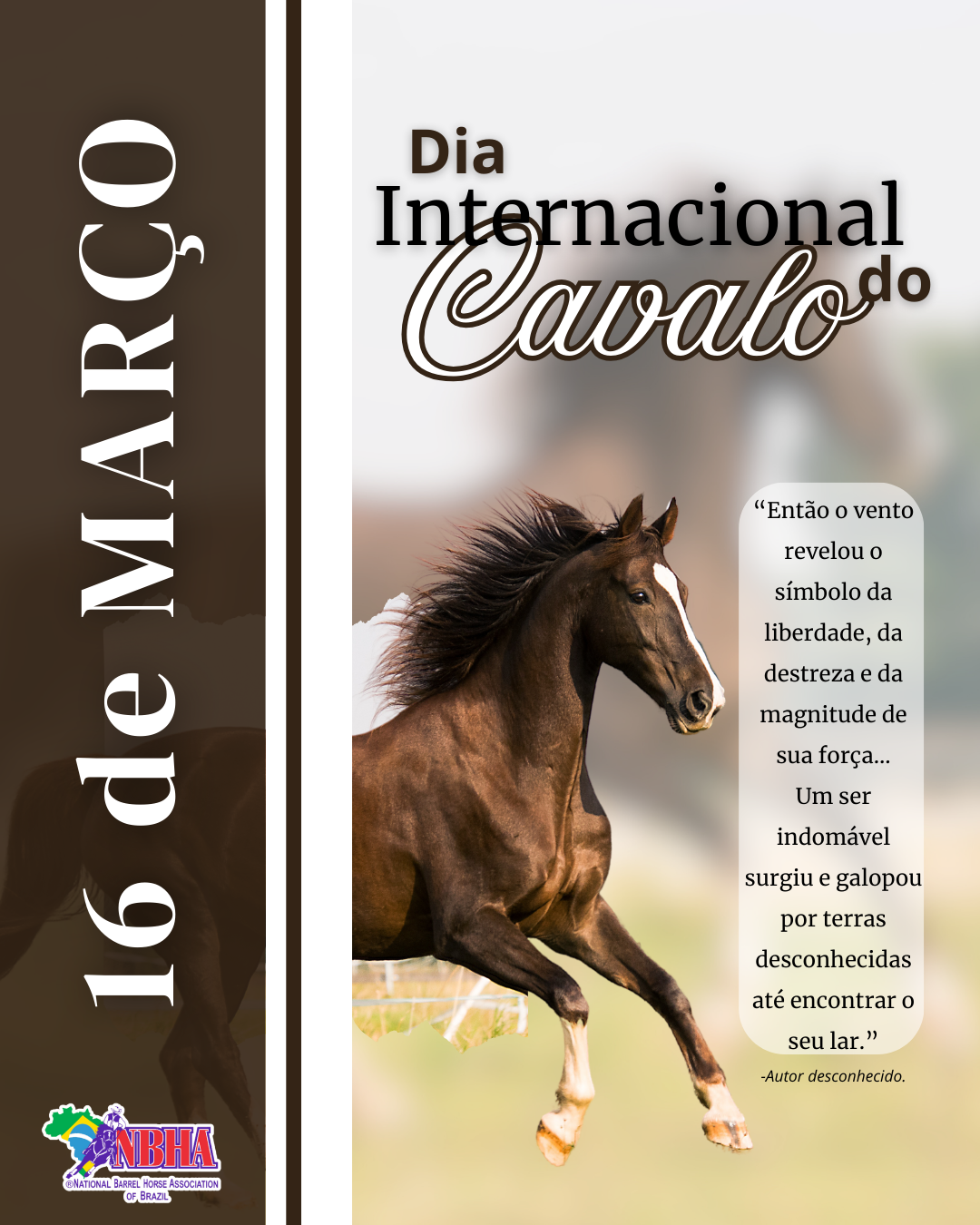 Dia Internacional Do Cavalo