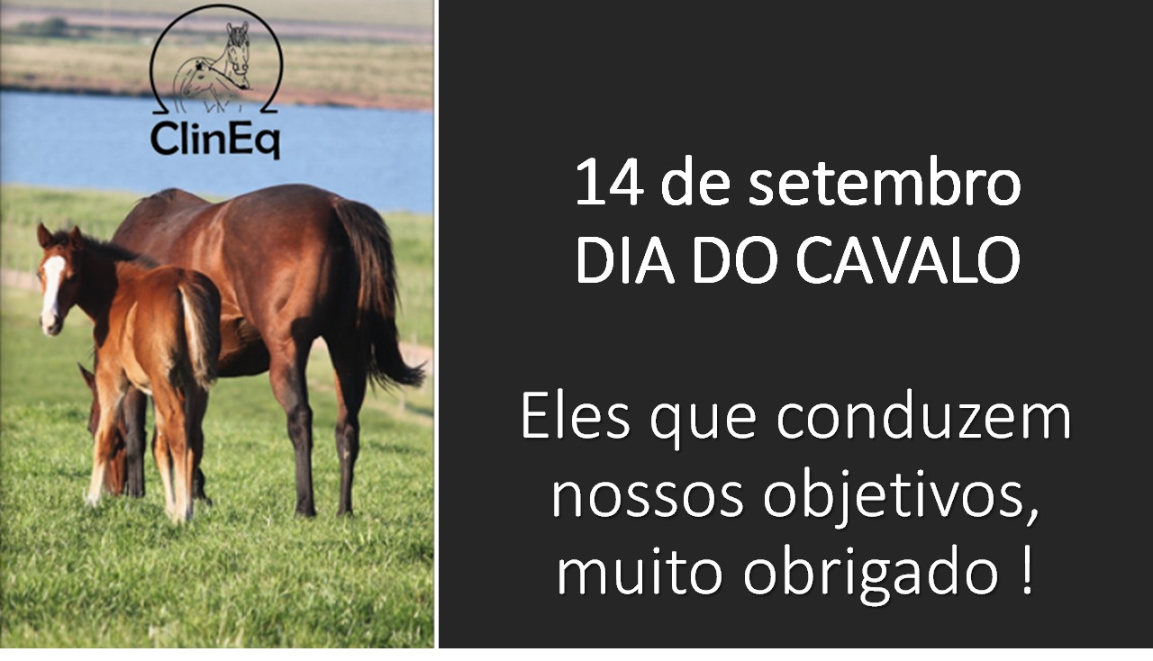 Diferenças entre o Dia Internacional e o Dia Nacional do Cavalo no Brasil