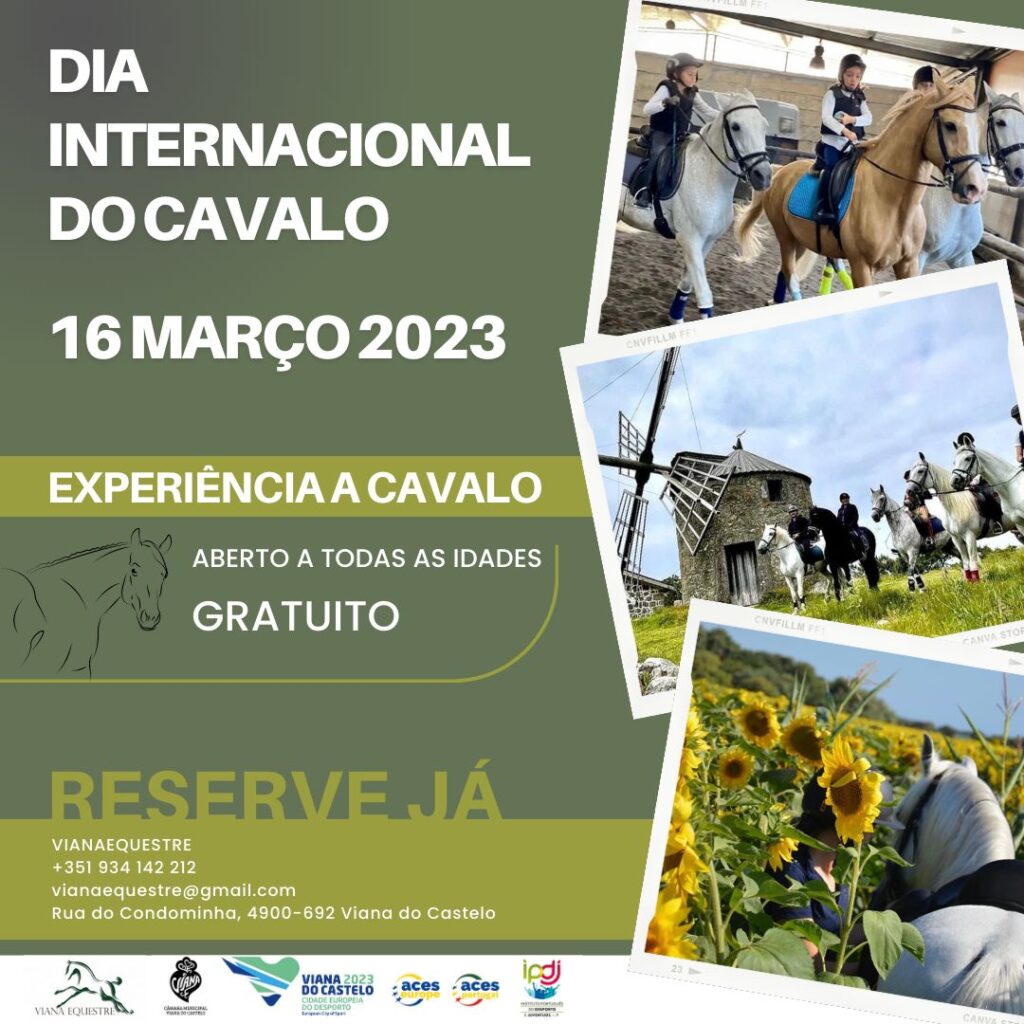 Ideias para Celebrar o Dia do Cavalo