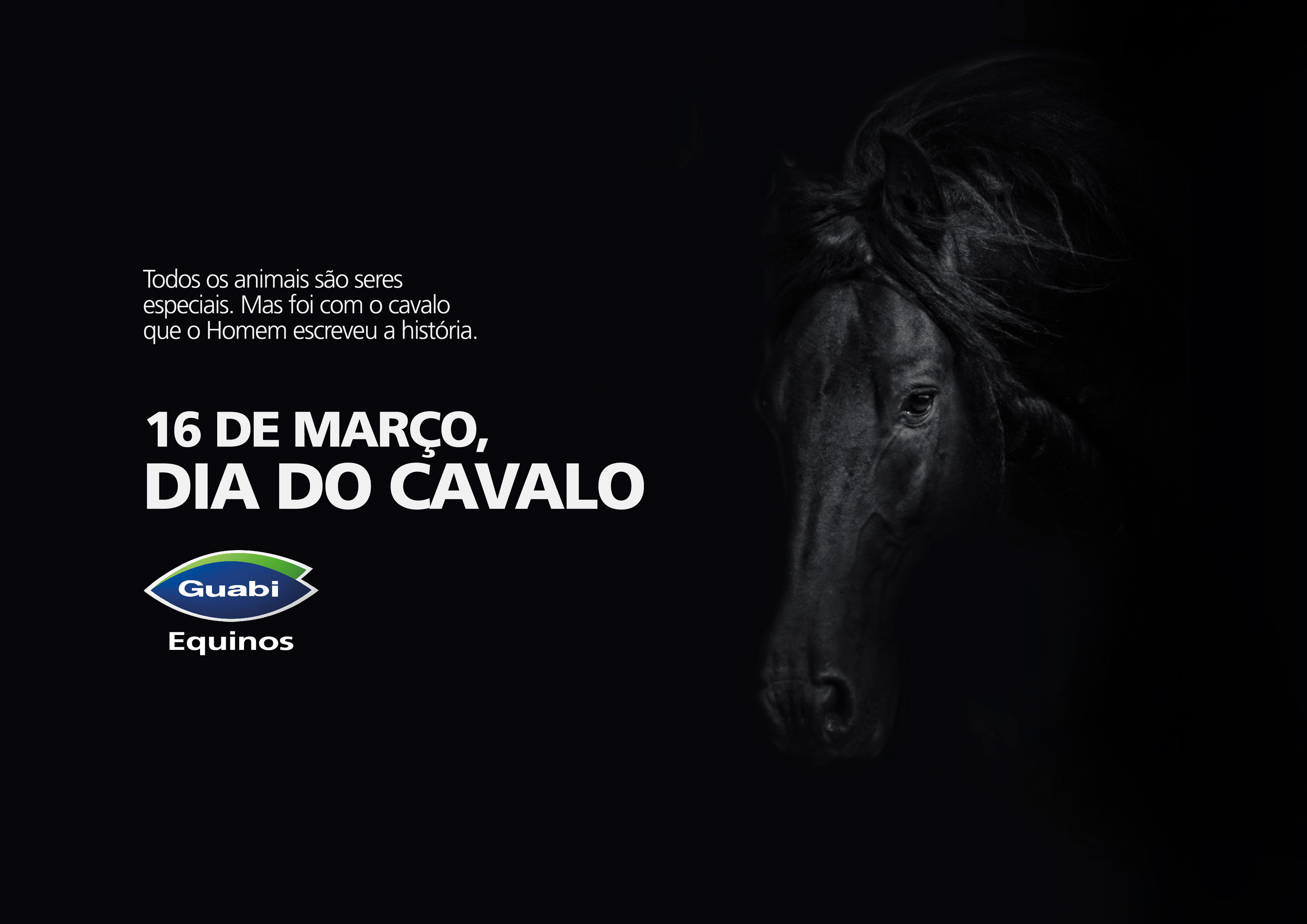 Dia Internacional Do Cavalo