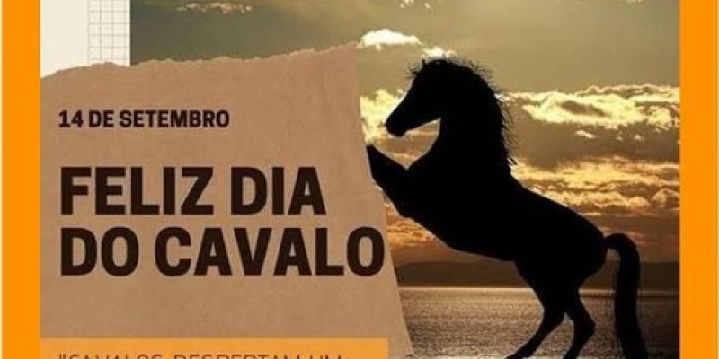 A Importância dos Equinos na História da Humanidade