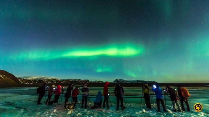 Aluguel de Carro 4x4 na Islândia: Dicas Essenciais para Dirigir no Gelo