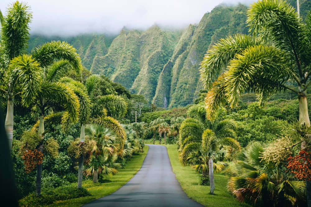 Guia Completo: Explorando os Vulcões Ativos do Havaí