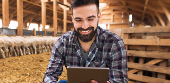 5 ideias de títulos