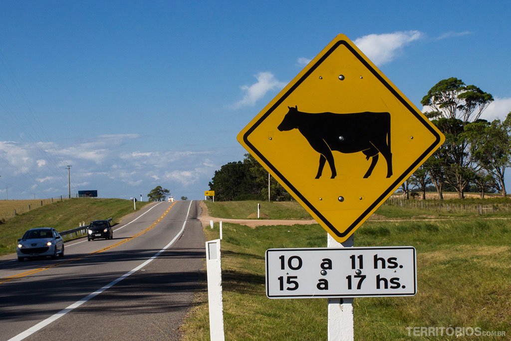 dicas para viajar de carro no uruguai (regras)