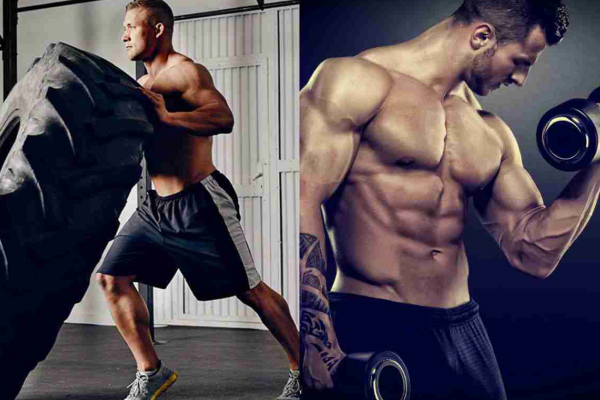 Como Escolher o Treino Ideal para Seus Objetivos Estéticos