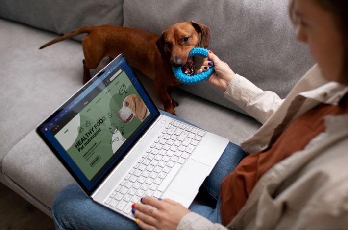 custo para abrir pet shop online