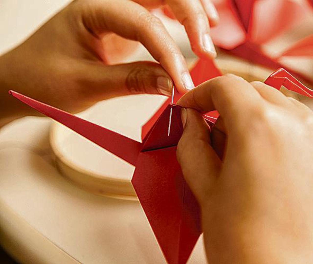 como corrigir tsuru torto empapuçado