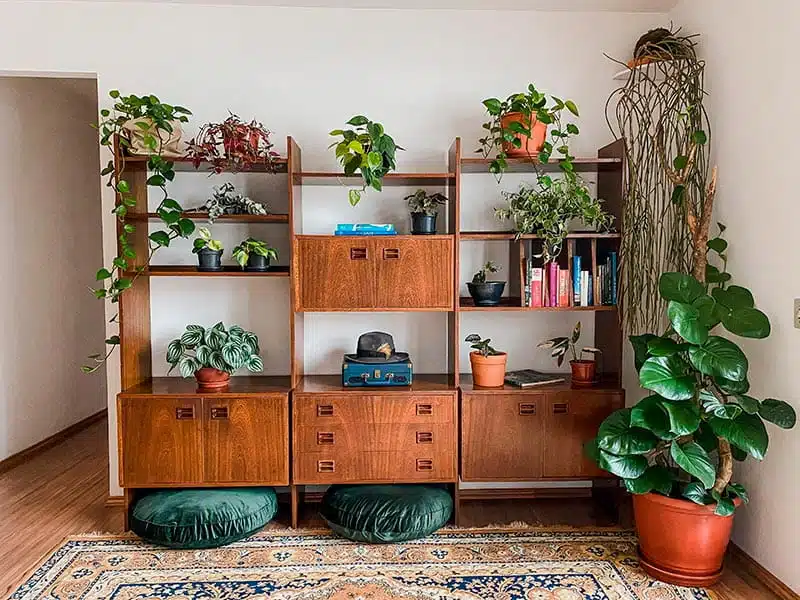 quanto custa decorar uma estante pequena