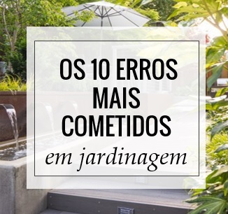 jardineiro autônomo versus empresa de paisagismo qual escolher