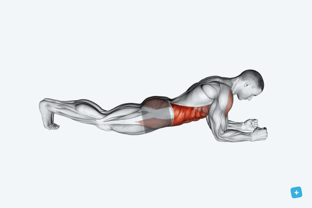 Exercícios Para Perder Barriga Rápido