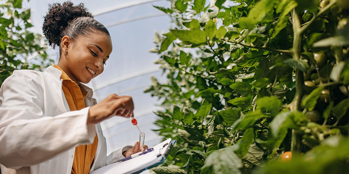 faculdade de gestão ambiental ead