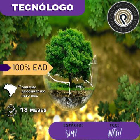 Gestão Ambiental EAD: Vale a pena investir neste curso?