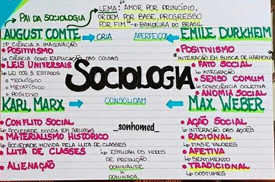 Sociologia EAD: Qual a diferença entre Licenciatura e Bacharelado?