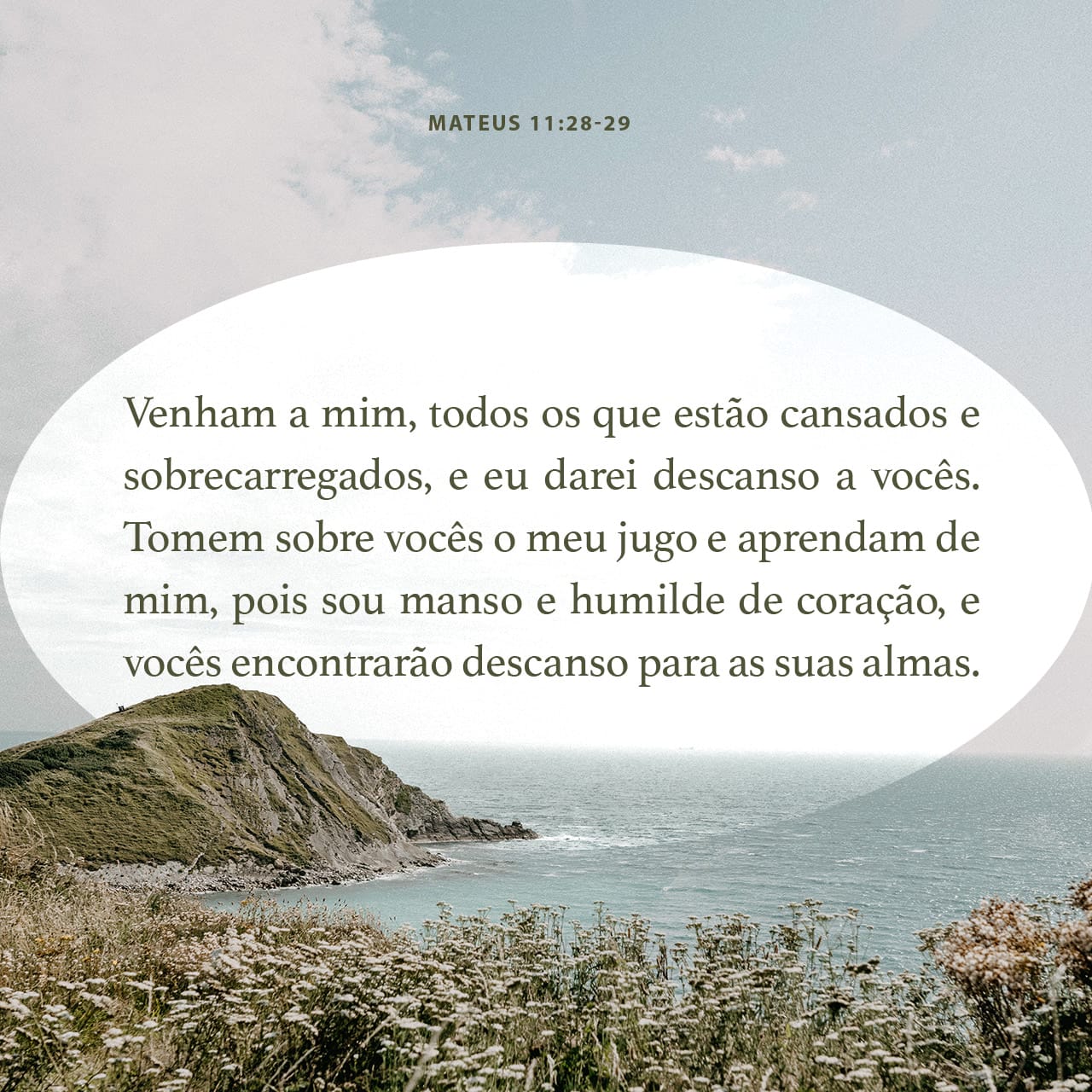 jugo suave e fardo leve