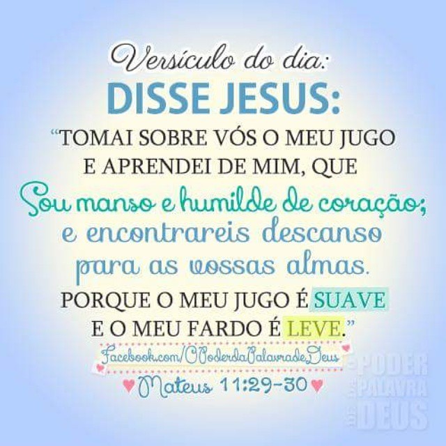 significado de fardo leve